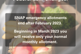 SNAP – Federal Law Changes